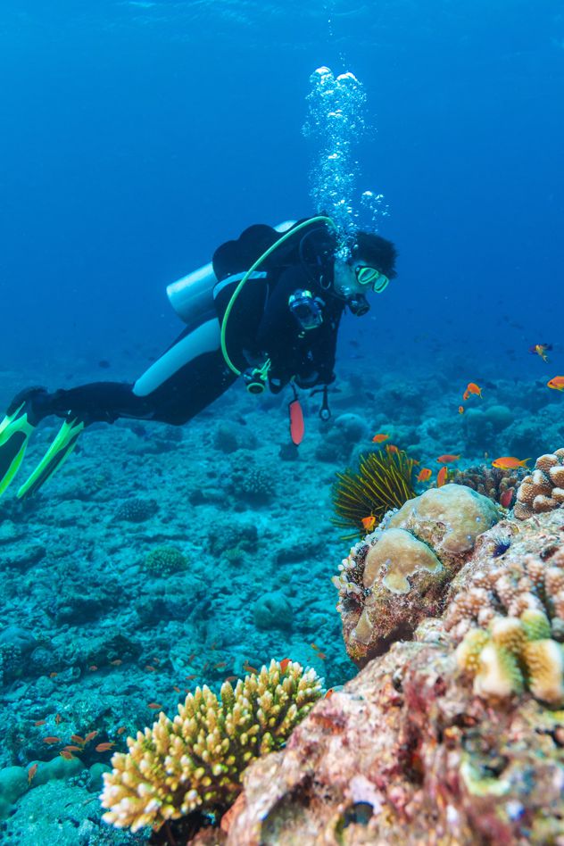 scuba-diving-bahamas